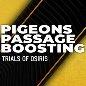 pigeons-passsge-boosting
