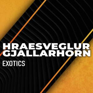 hraesveglur-gjallarhorn-boosting